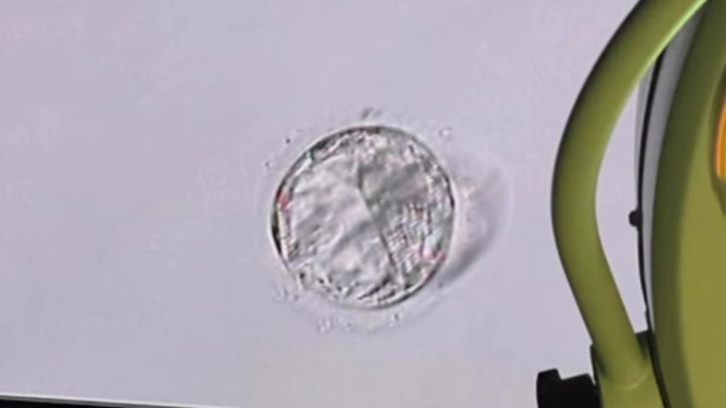 Instagram/bellashofie_rigan 