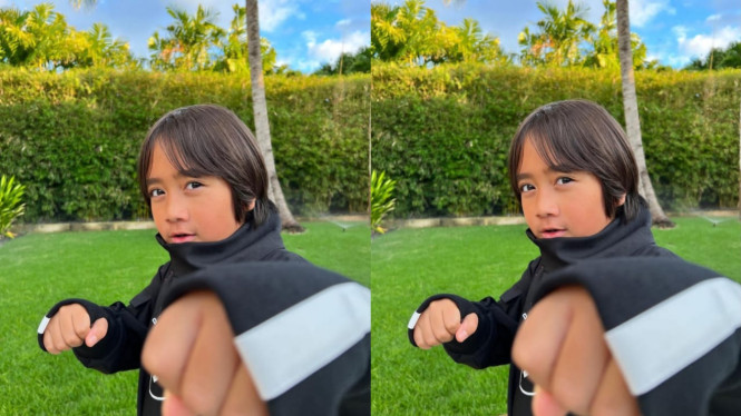 Instagram/ryansworld