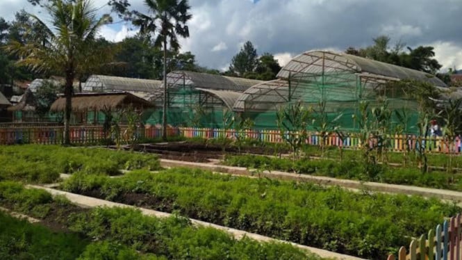 gmaps/Teguh Panca Rinaldi