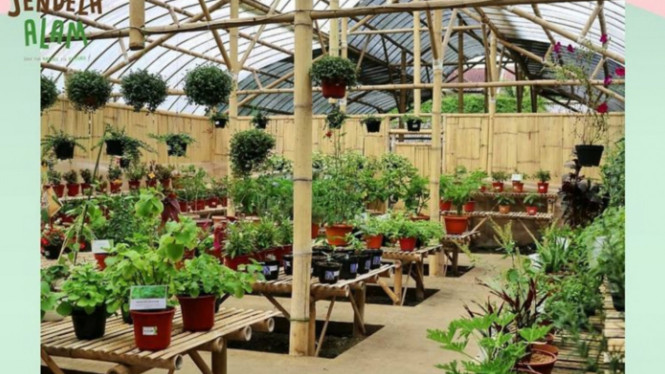 Instagram/@jendelaalambandung