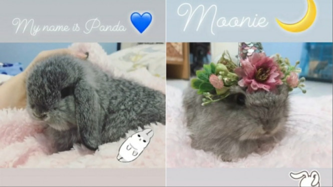 Instagram/monnafrans