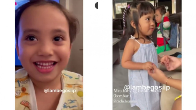 instagram/lambegosiip