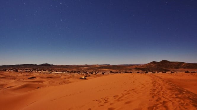 Freepik/Oleksandr Ryzhkov