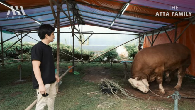 Tangkap layar YouTube 