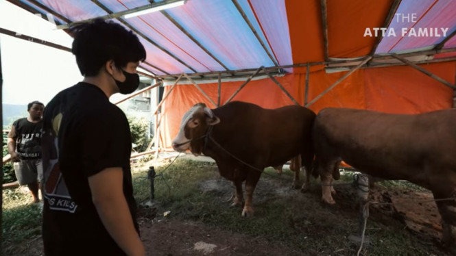 Tangkap layar YouTube 