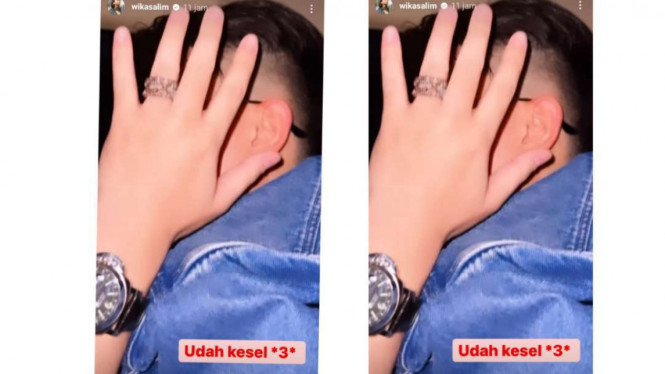 Instagram/@wikasalim