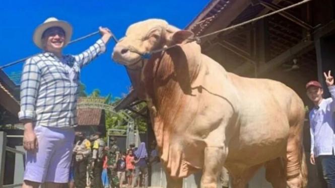 Instagram/irfanhakim