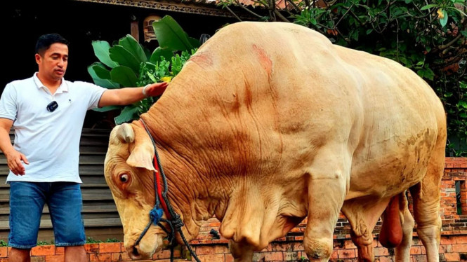 Instagram/irfanhakim