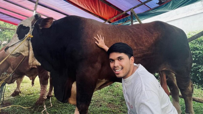 thariqhalilintar/instagram