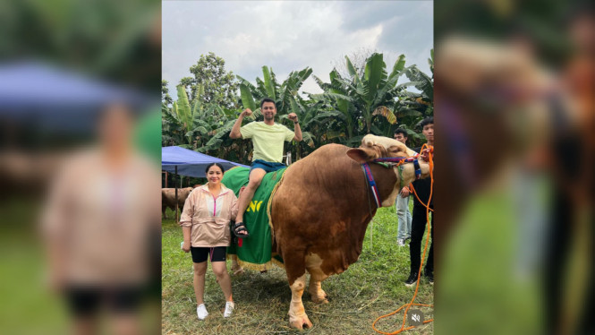 raffinagita1717/instagram