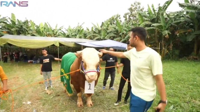 YouTube/Rans Entertainment