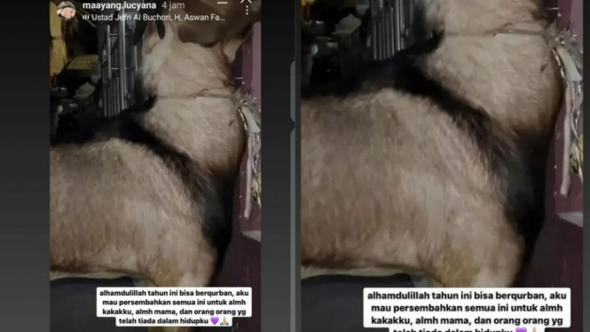 Instagram/gosiplambe12