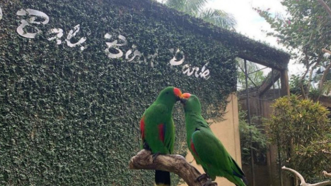 Instagram/@balibirdparkofficial