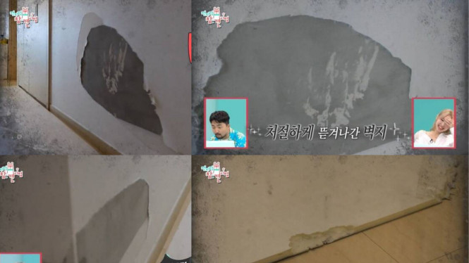 Daum/ Tangkapan Layar Video Acara Omniscient Interfering View