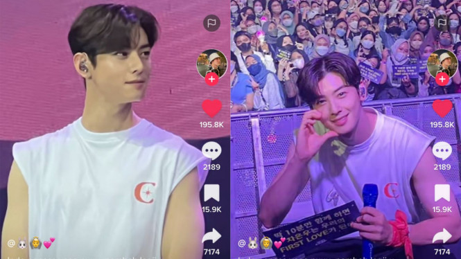 TikTok/chaeunwoo