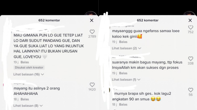 TikTok/mayang