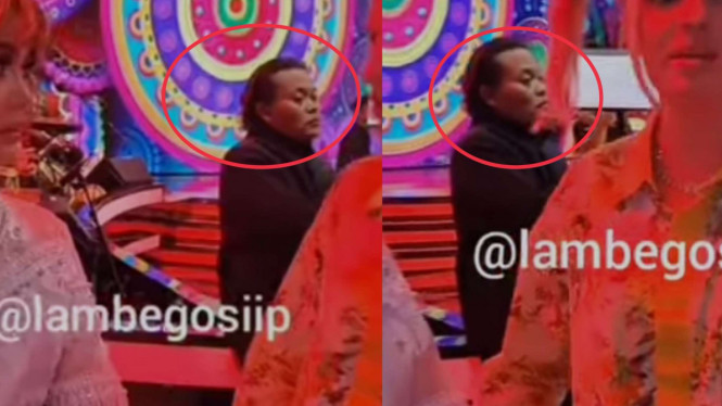 Instagram/@lambegosiip