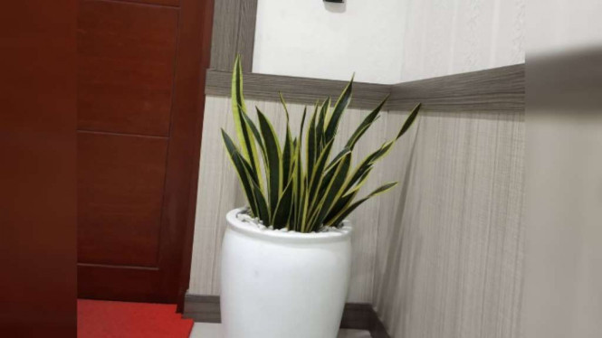 Instagram/@karyahijau