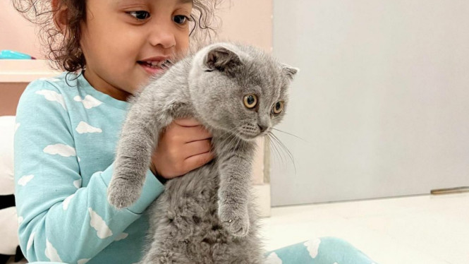 Instagram/shireensungkar