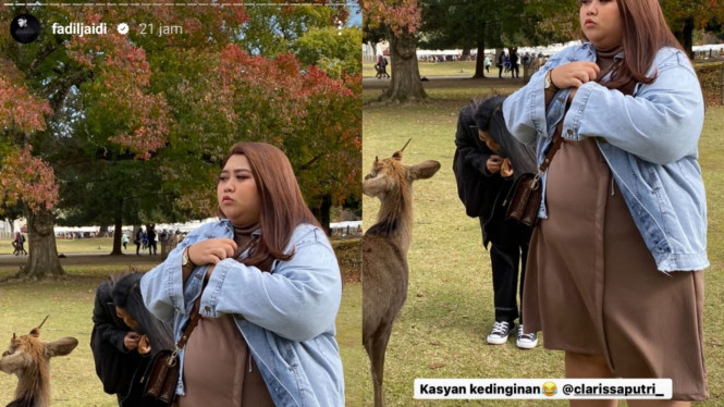 Instagram story/fadiljaidi