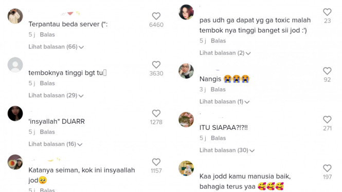 TikTok/@Brisia Jodie