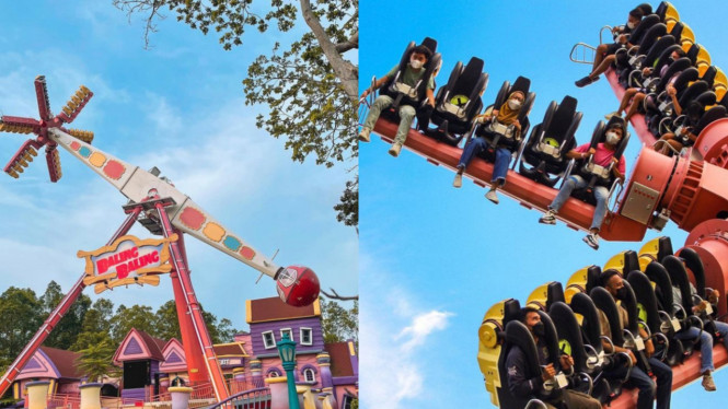 Instagram/@infodufan