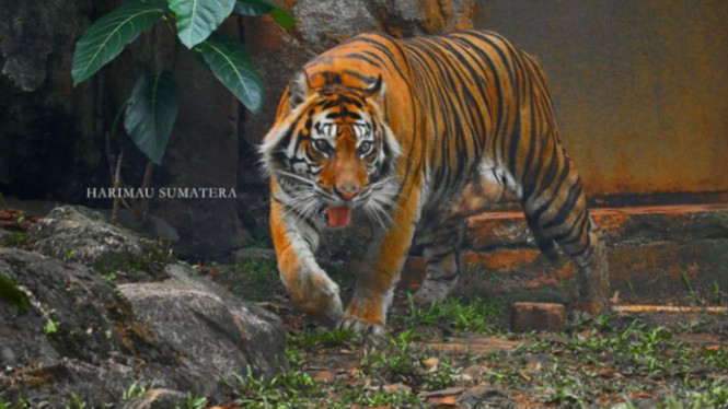 Instagram/@ragunanzoo