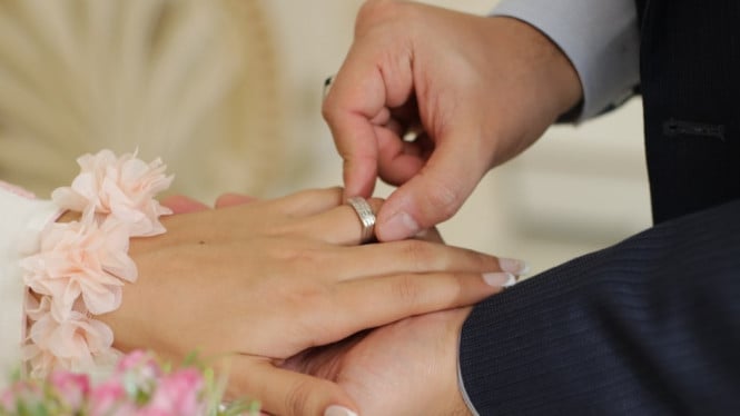 Unsplash/Saeed Sarshar