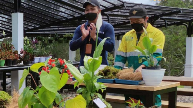 Instagram/@kebunraya.id