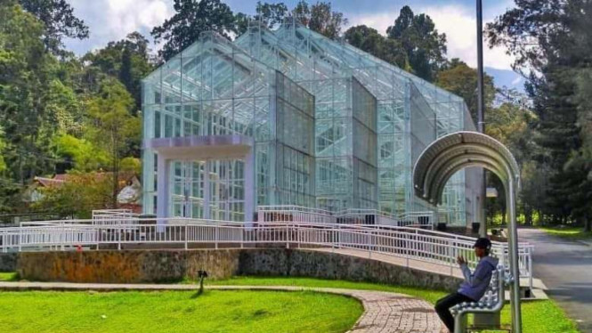 Instagram/@wajahcianjur