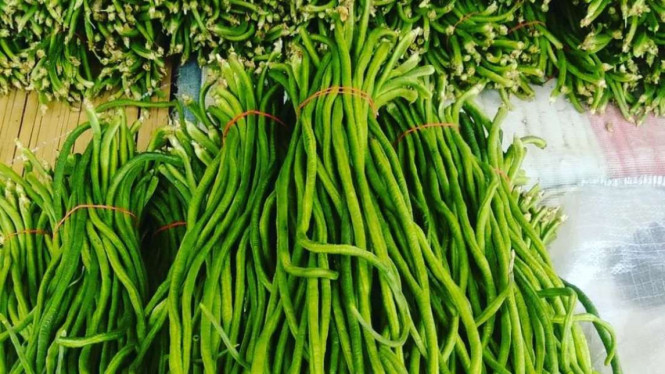 Instagram/@sarangsayur