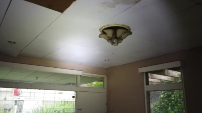 YouTube/Hardi ArtVenture