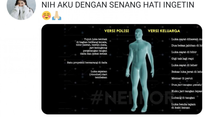 twitter.com/@nessiejudge