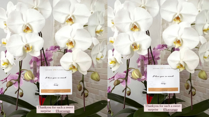 Instagram/erinagudono