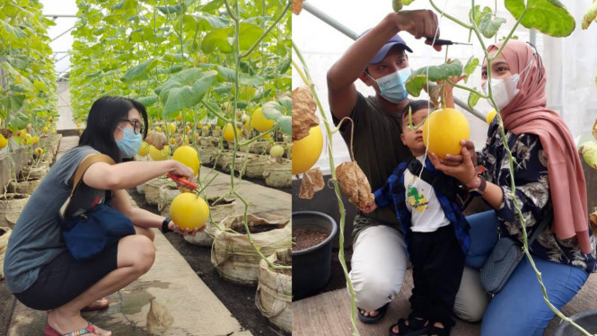 gmaps/Taman Buah Mekarsari