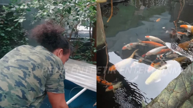 YouTube/ Camel Petir