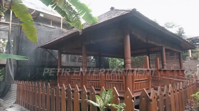 YouTube/ Camel Petir