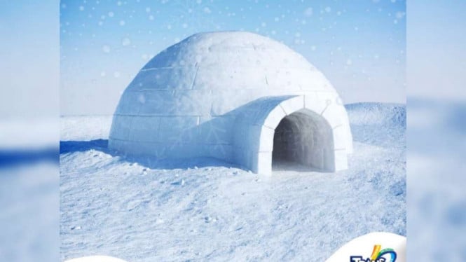 Instagram/@transsnowworld