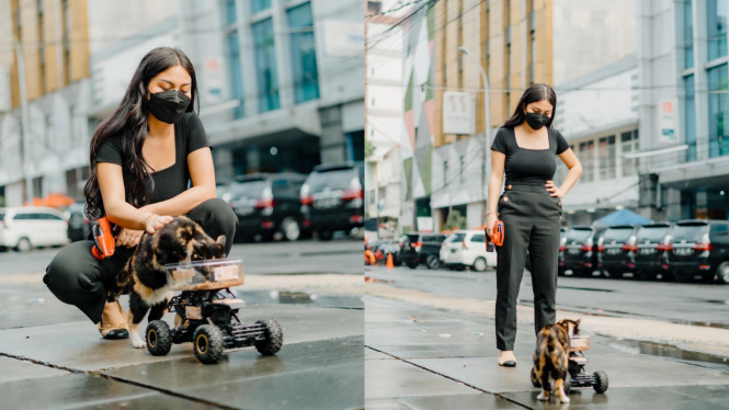 twitter.com/@Aditt_hr