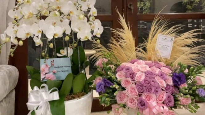 Instagram/cici_faramida 