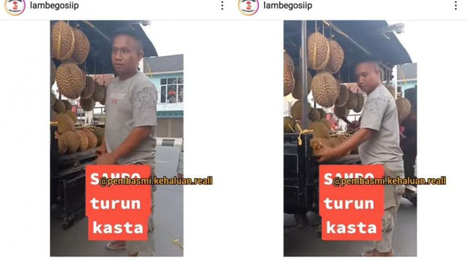 Instagram/@lambegosiip