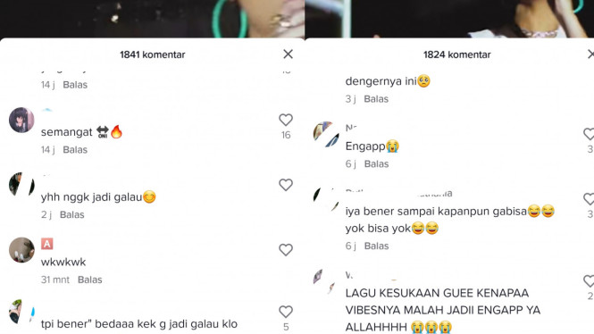 TikTok/geishaindonesia