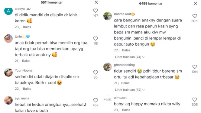 Tiktok/teamnikitaindra