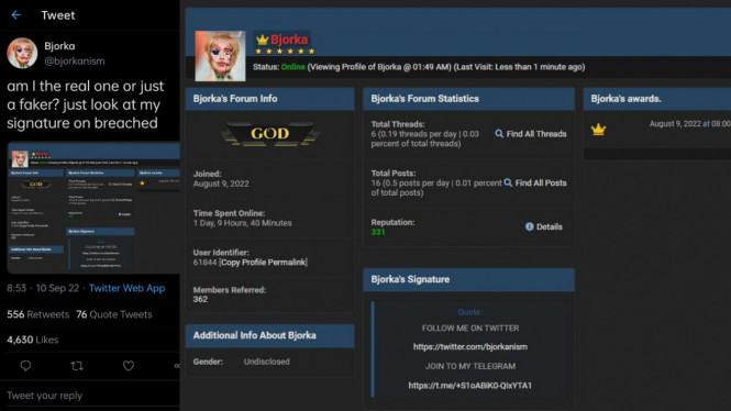 Twitter/bjorkanism 