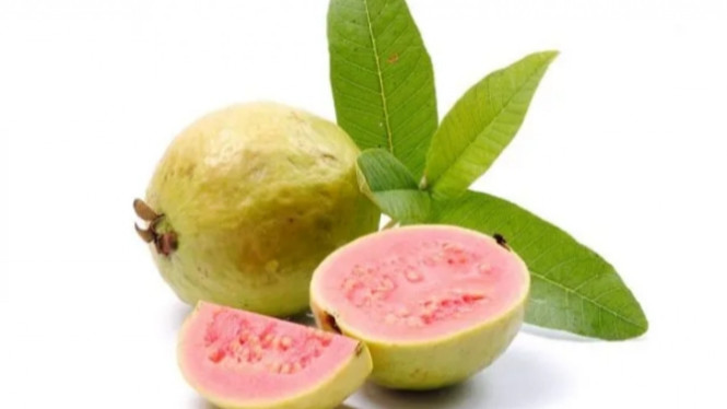 parentingfirstcry.com