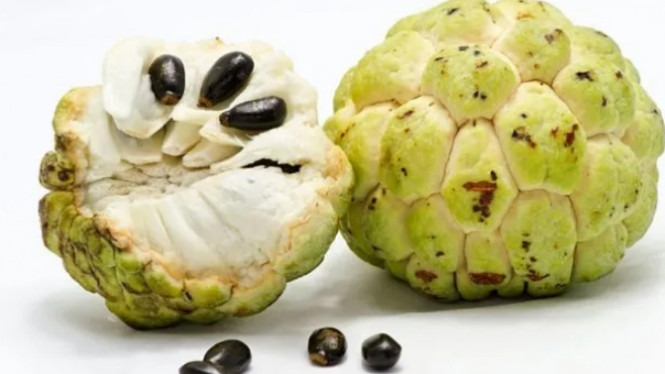 parentingfirstcry.com