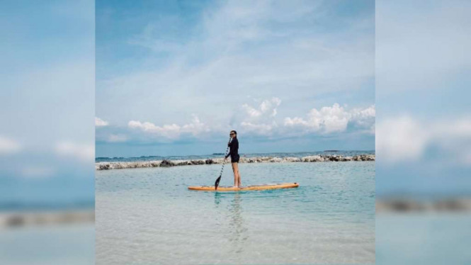 Instagram/@aaliyah.massaid