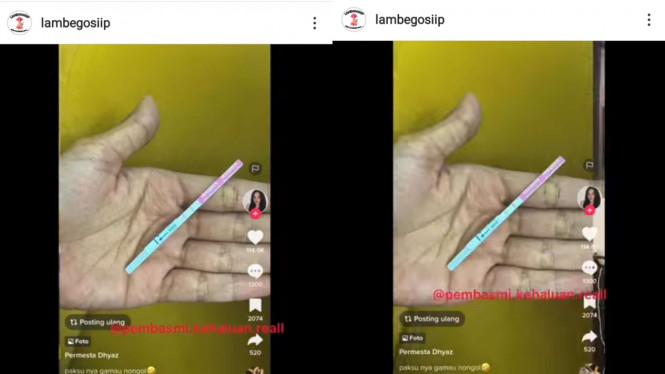 Instagram/@lambegosiip