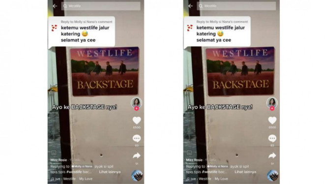 Tangkap layar TikTok 