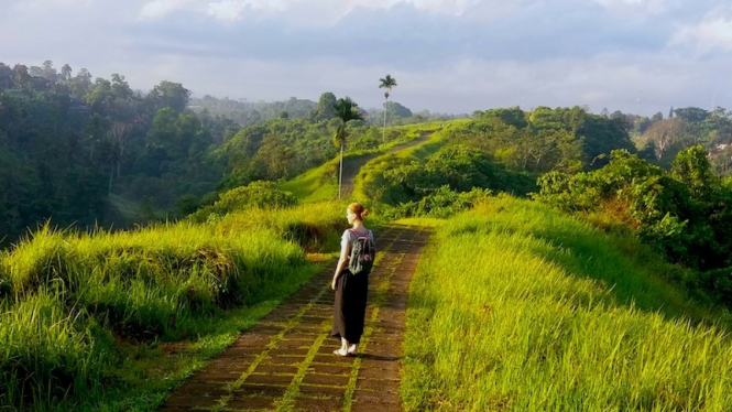 Campuhan Ridge Walk, Tempat Menanti Senja Bak Lukisan Di Ubud Bali